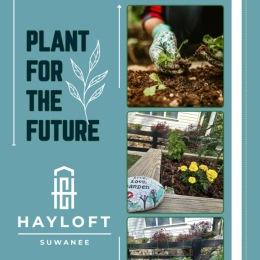 a poster of gardening images