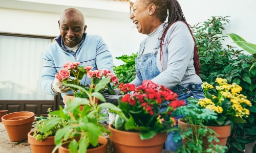 a couple gardening together